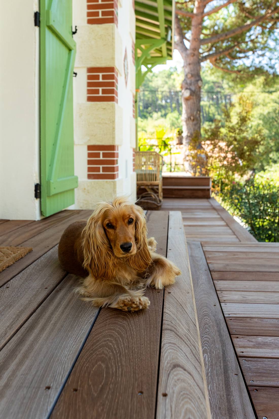 Terrasse en bois et volets verts d'une maison arcachonnaise traditionnelle à Arcachon